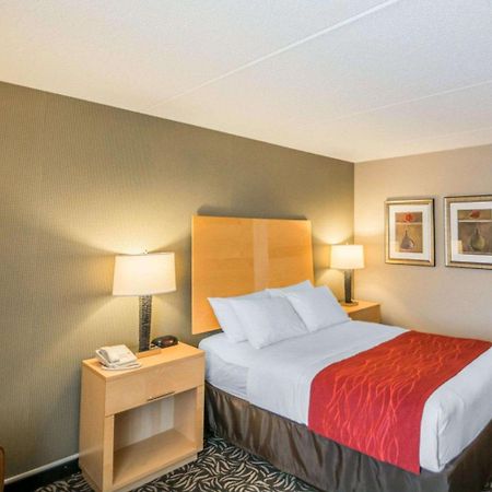 Comfort Inn - Nys Fairgrounds Syracuse Bagian luar foto